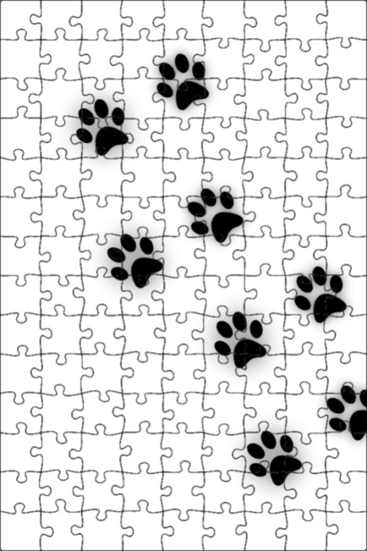 Седая кошка