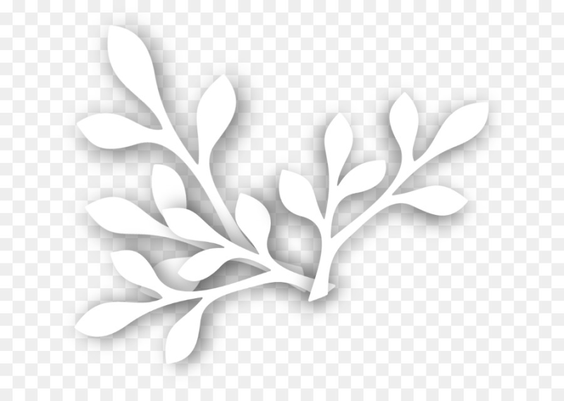 Орнамент веточки