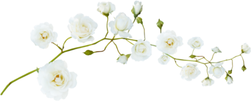 Веточка цветов