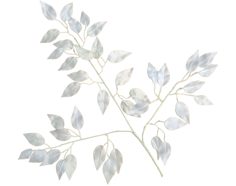 Серебряная ветка