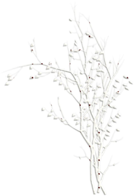 Белые ветки на прозрачном фоне