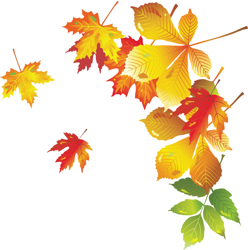 Осенние листочки на прозрачном фоне
