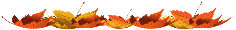 Осенние листики на прозрачном фоне