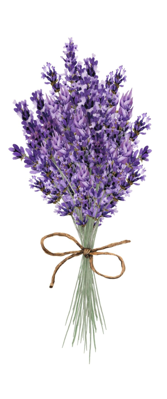 Пучок лаванды
