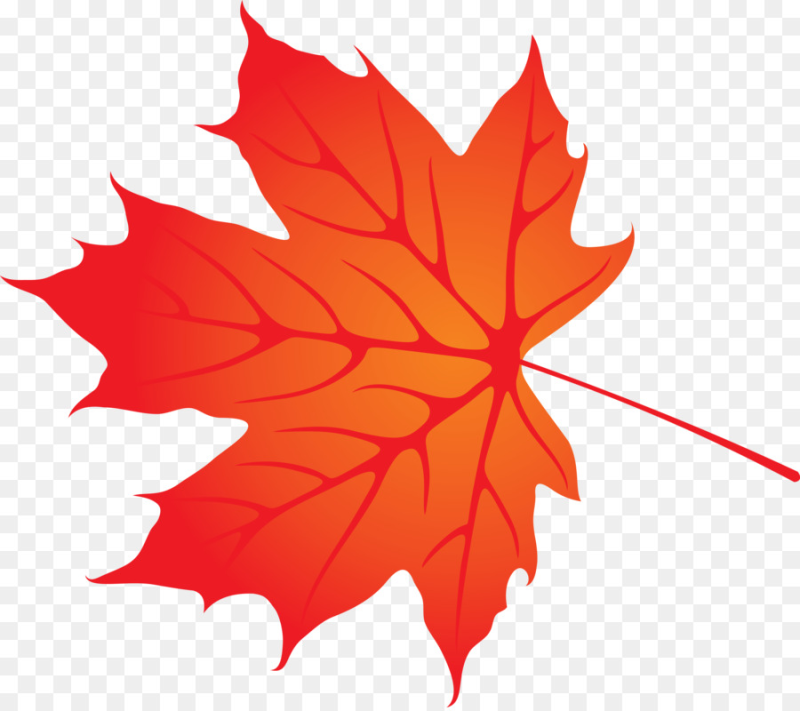 Осенний Калиновый лист