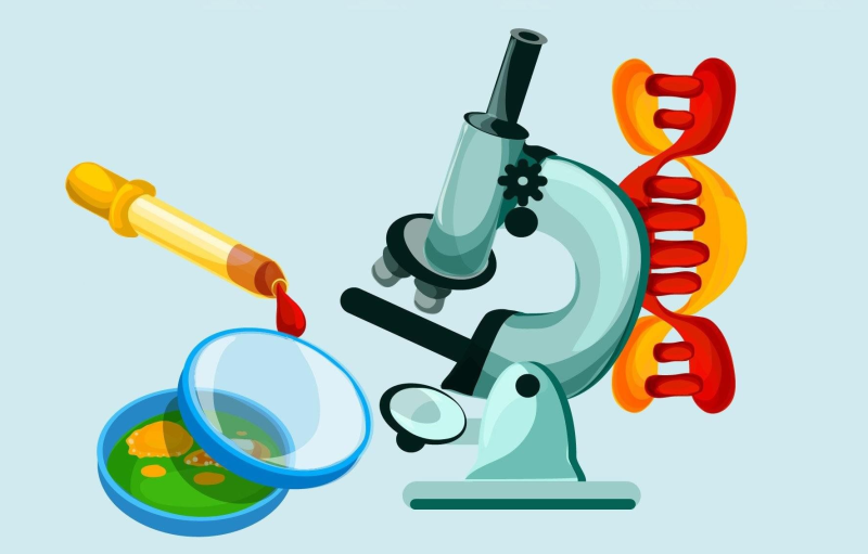 Биология картинки для детей