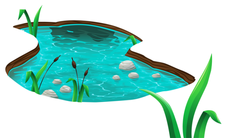 Рисование водоемов