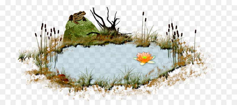 Болото для детей