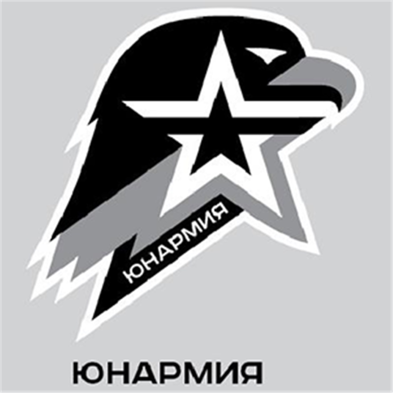 Знак «Юнармия»