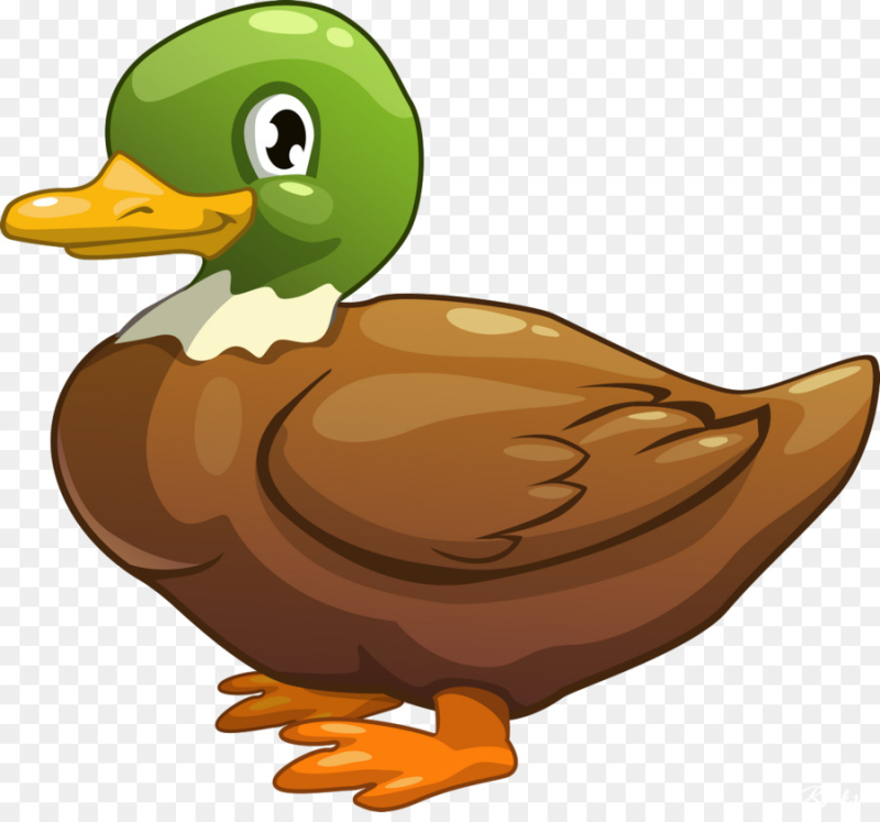 Утка клипарт