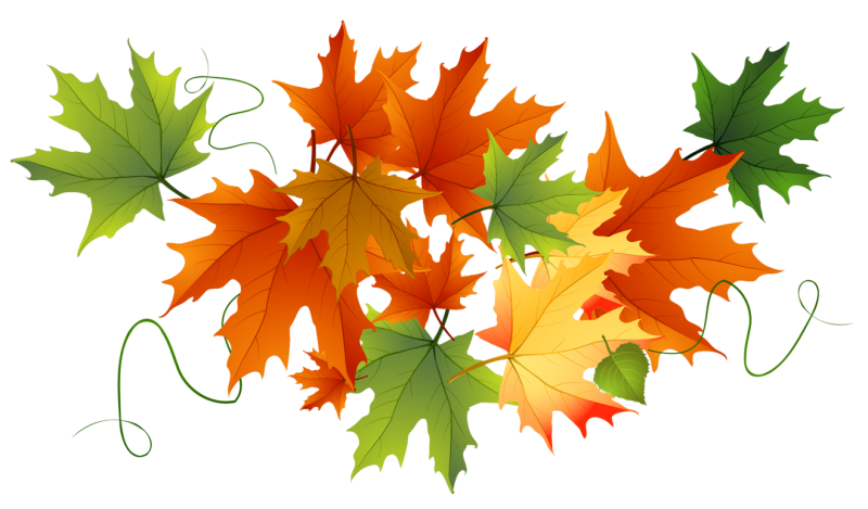 Кленовый лист