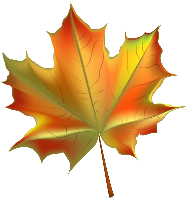 Осенний кленовый лист