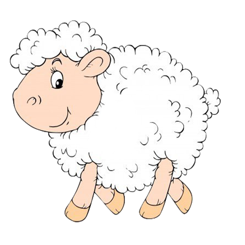 Овечка на прозрачном фоне
