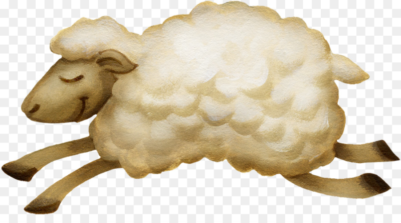 Sheep на прозрачном фоне