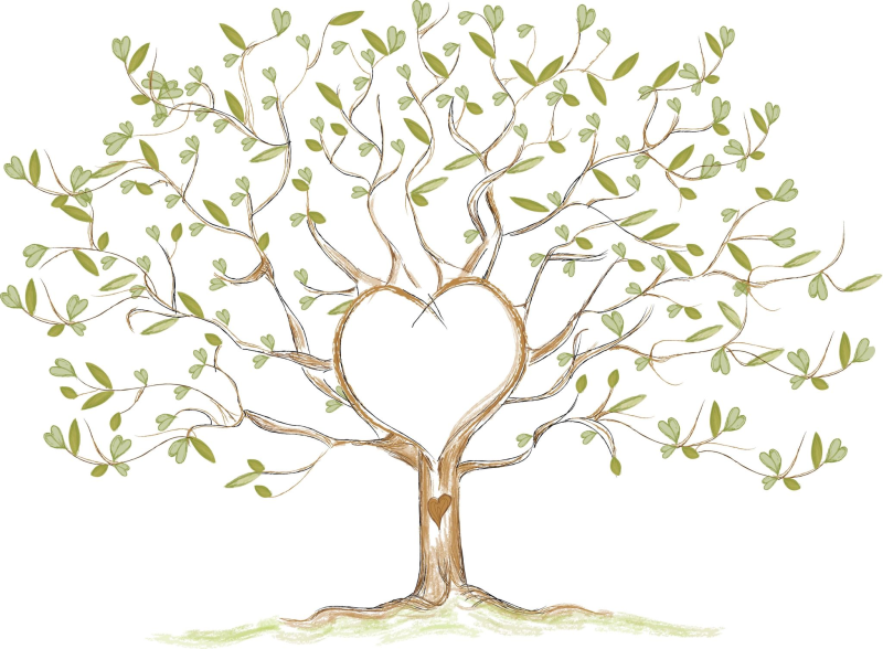 Рисование генеалогического дерева