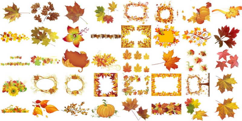 Ценники на осеннюю ярмарку