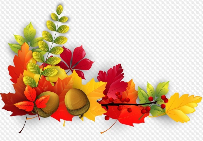 Осенний клипарт на прозрачном фоне