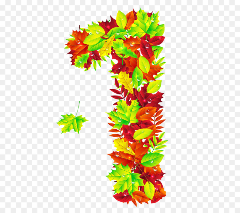 Цифры из осенних листьев