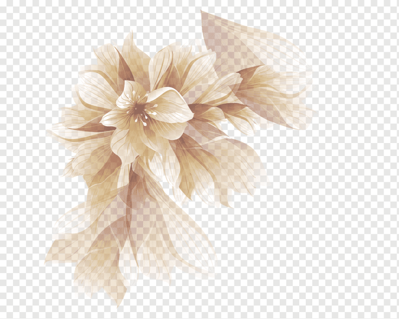 Бежевые цветы акварель