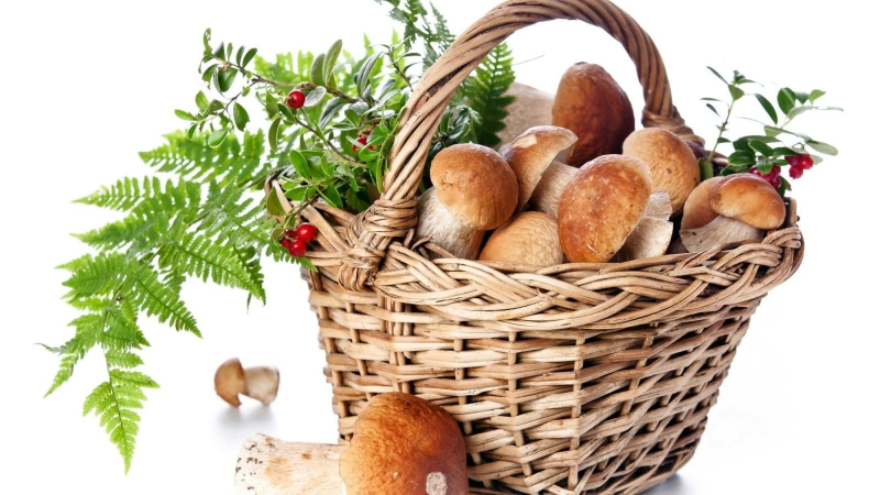 Лукошко с грибами