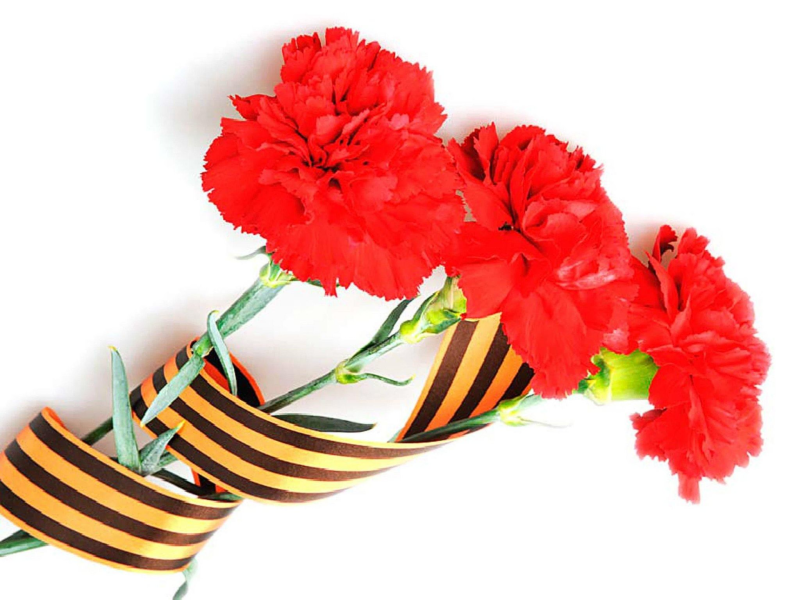 Гвоздика ВОВ