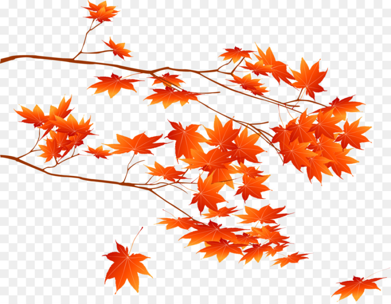 Ветка осенних листьев