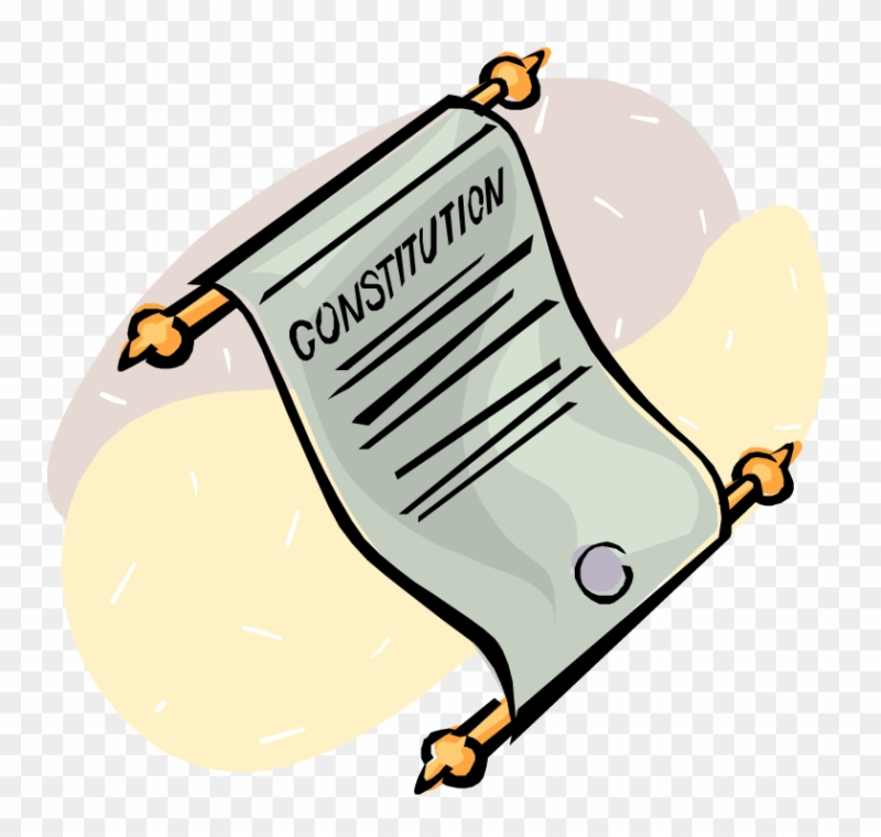 Конституция анимация