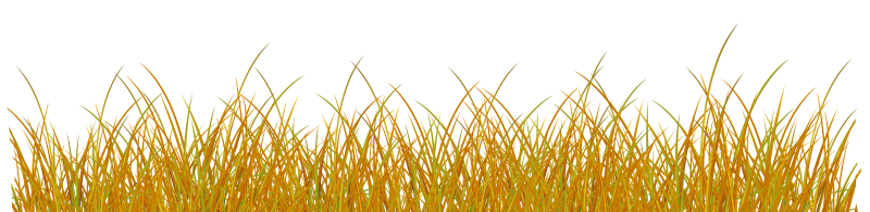 Осенняя трава на прозрачном фоне