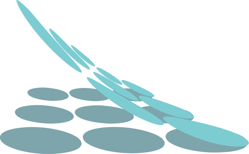 Прозрачный фон