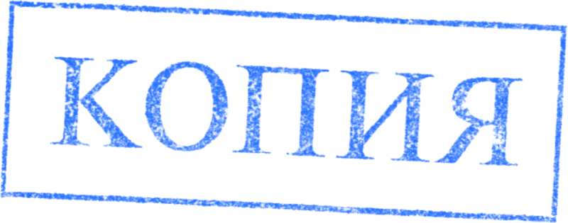 Надпись копия