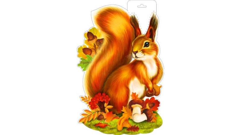 Осенняя белка для детей