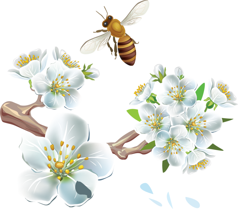 Весенний фон прозрачный