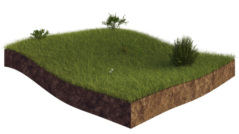 Кусок земли