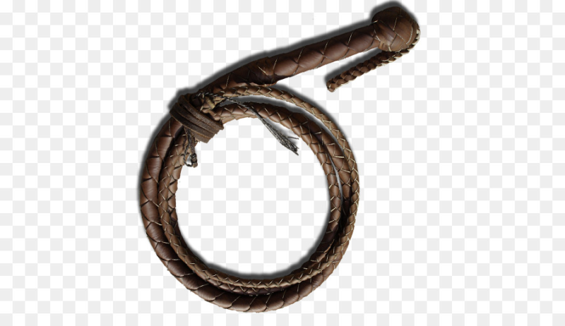 Индиана Джонс плеть