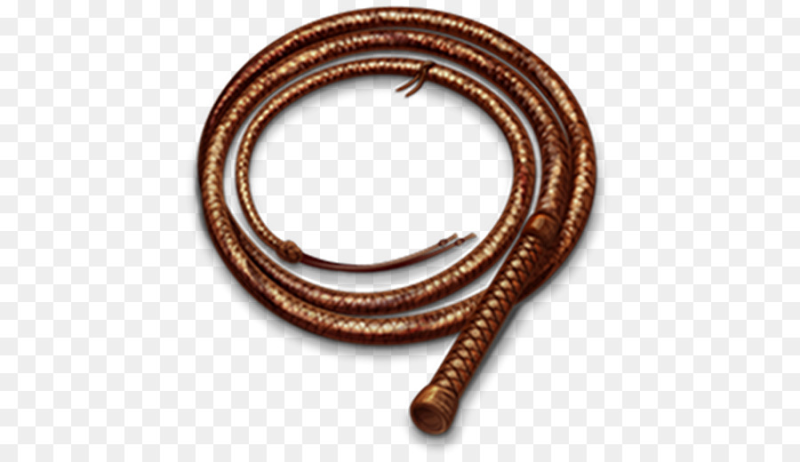 Плеть на прозрачном фоне