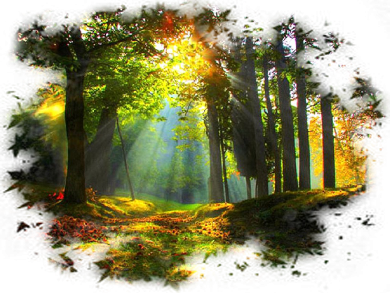 Пейзаж на прозрачном фоне