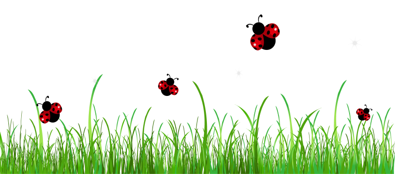 Клипарт Божья коровка на прозрачном фоне