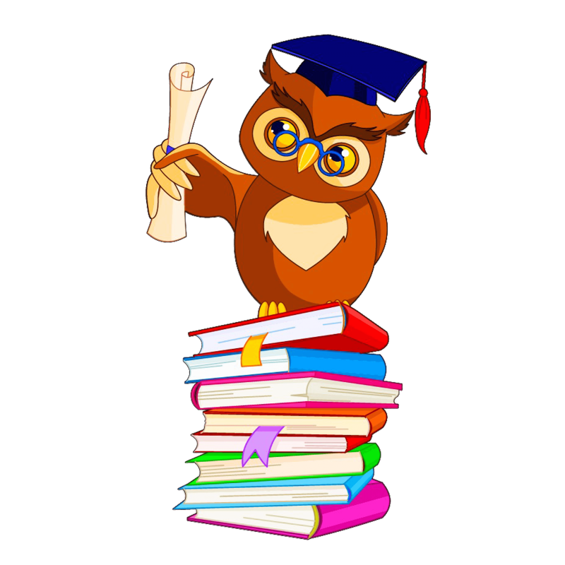 Ученая Сова на прозрачном фоне