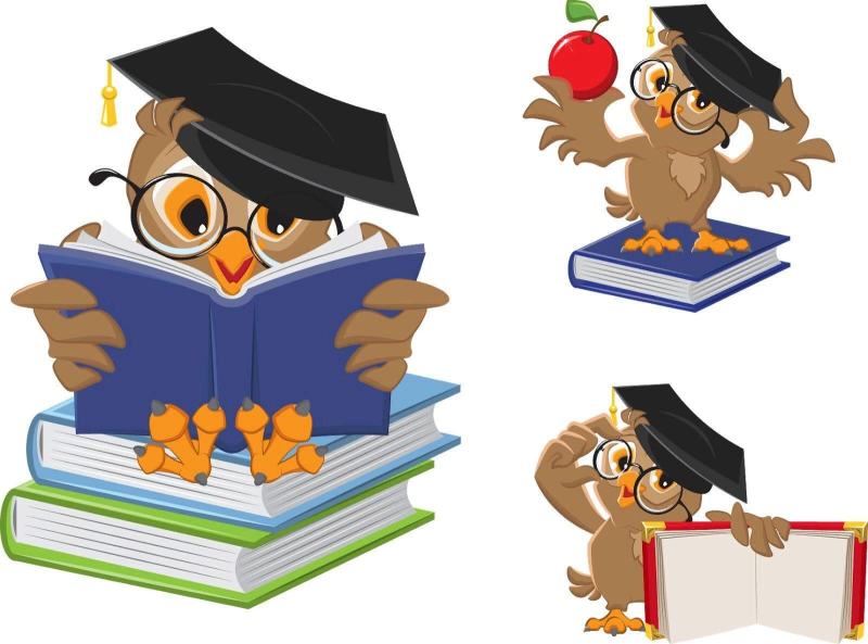 Сова с книжкой