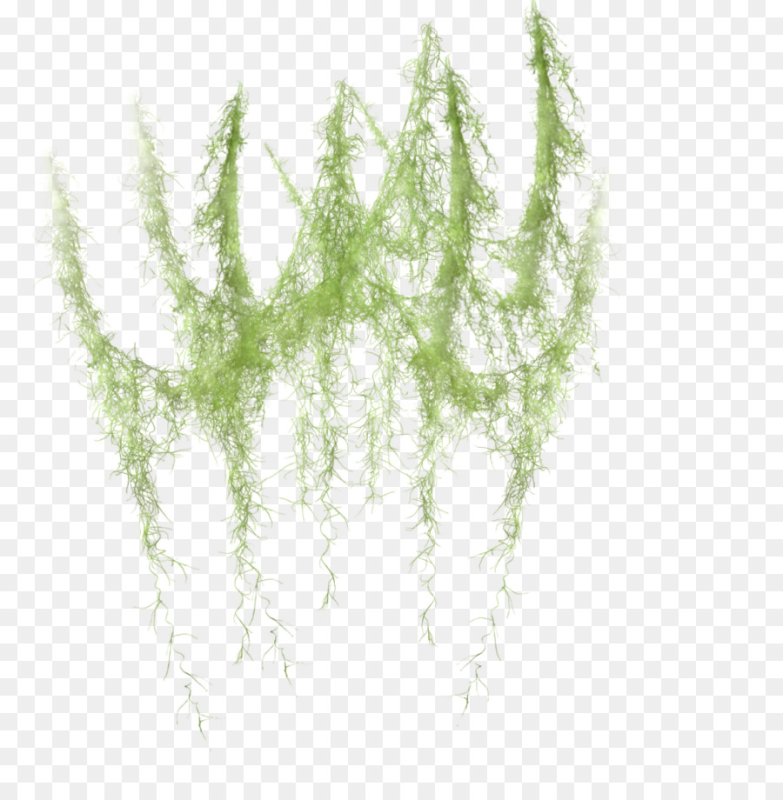 Мох для фотошопа