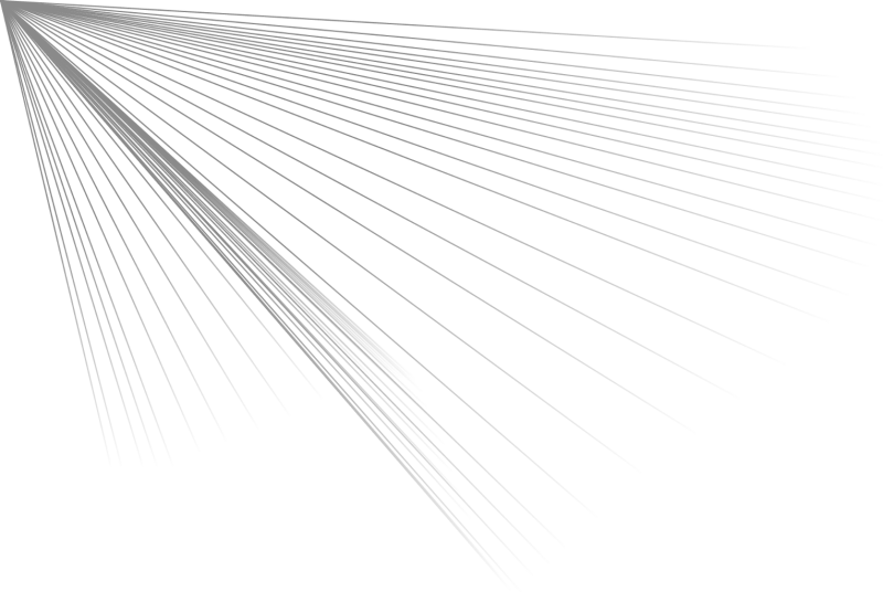 Векторные линии