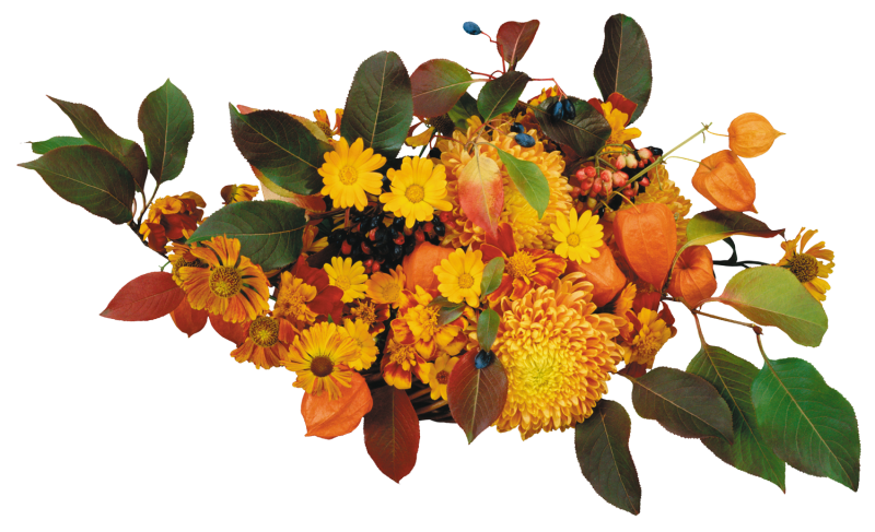 Цветочные композиции на прозрачном фоне