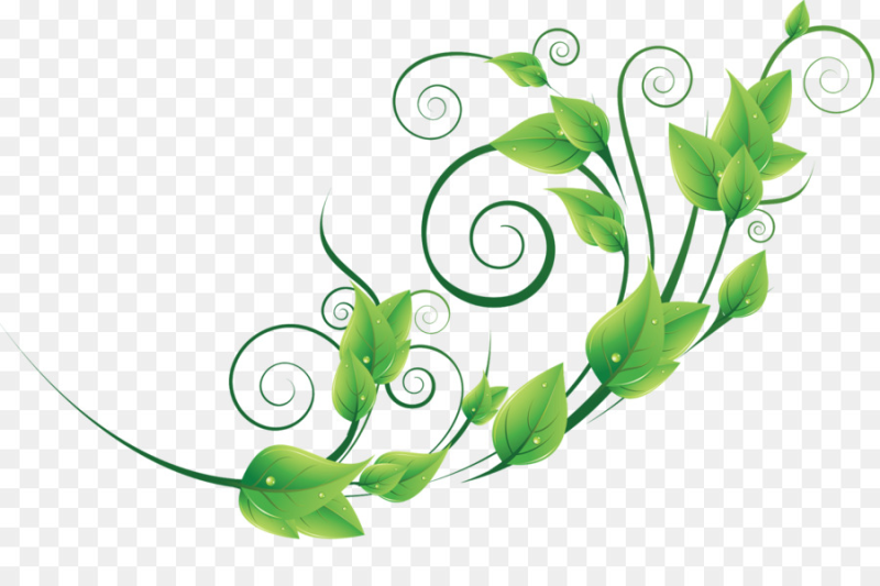 Зеленые завитки