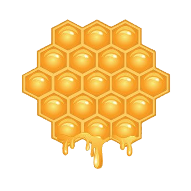 Соты прозрачные