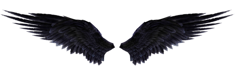 Крылья демона черные