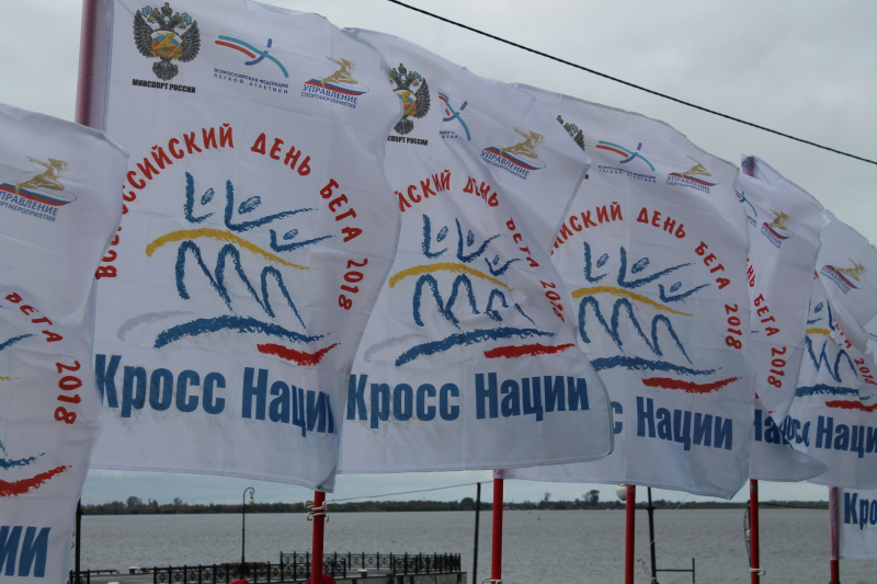 Кросс нации вектор