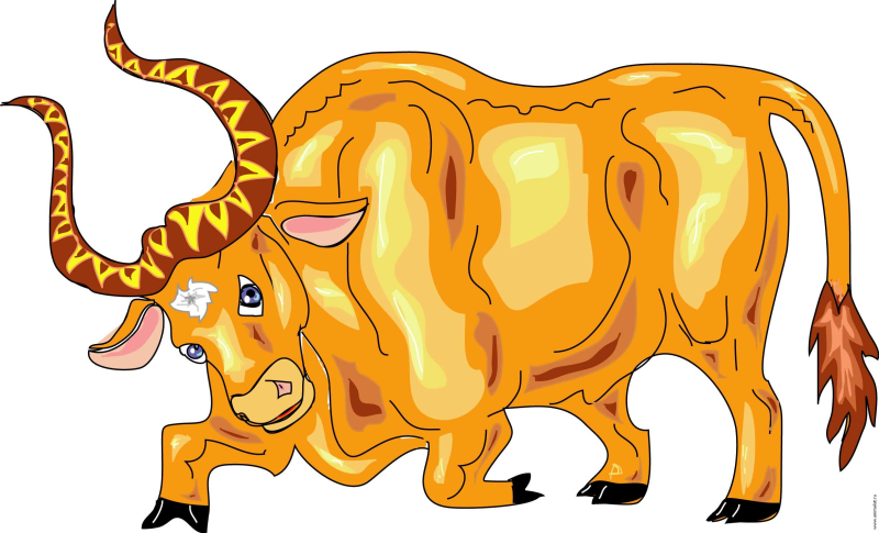 Бык рисунок