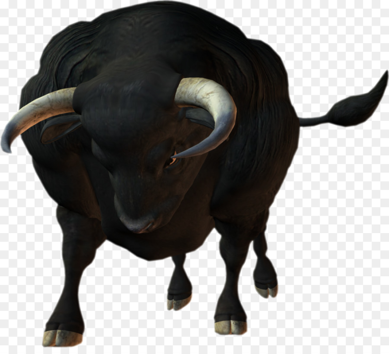 Бык на белом фоне