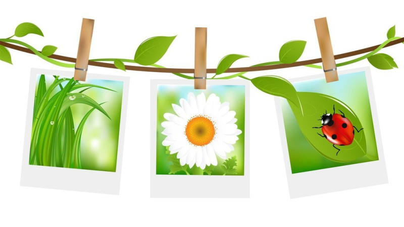 Летний клипарт на прозрачном фоне