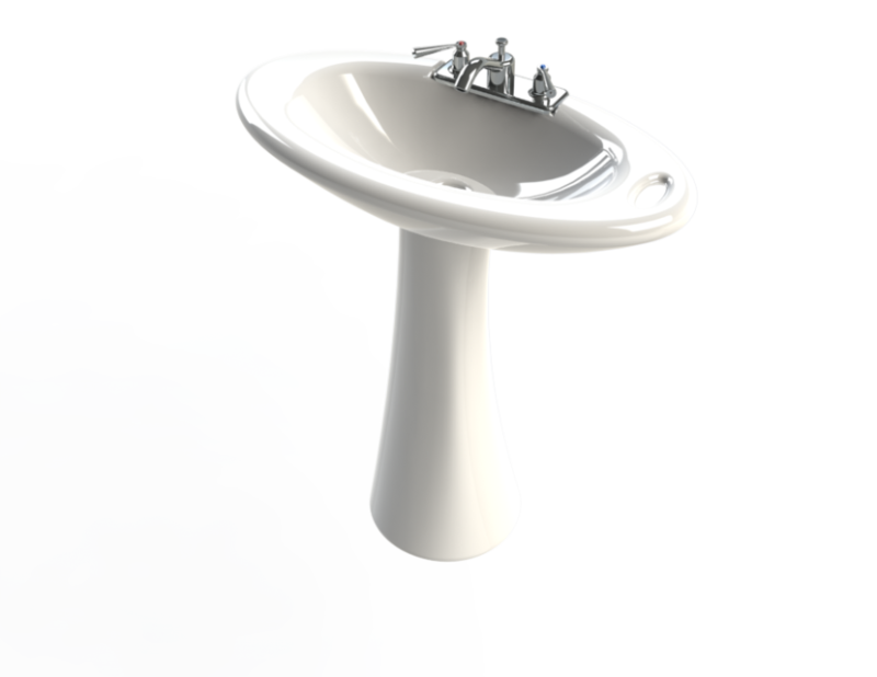 Раковина на белом фоне